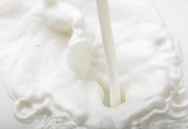 ミルクのスプラッシュ — ストック写真