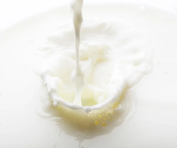 Süt sıçraması — Stok fotoğraf