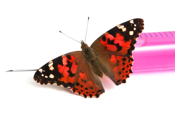 Бабочка сидит на шприце — стоковое фото
