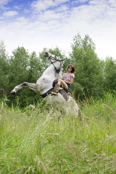 A ló barna lány — Stock Fotó