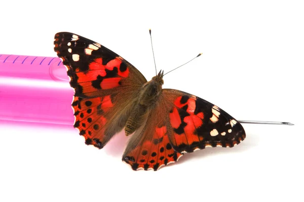 Vlinder zit op een spuit — Stockfoto