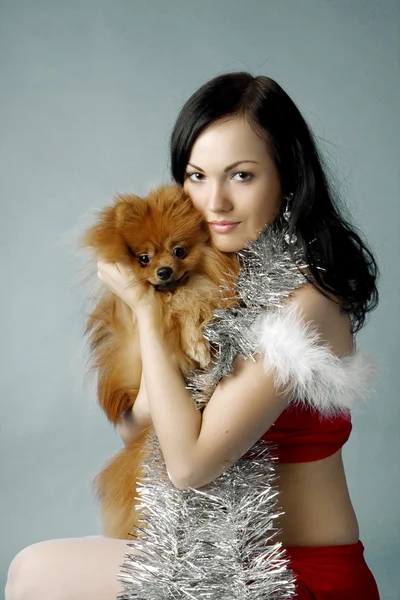 Weihnachtsmann Mädchen und Hund — Stockfoto