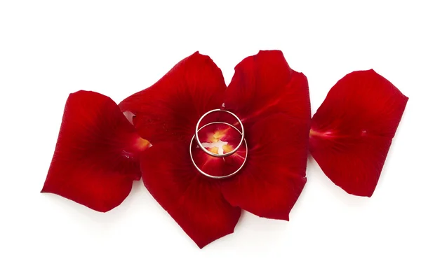 Rings in rose petals — Stock Photo, Image