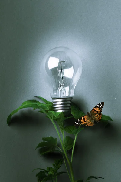 Bulb on a gray background — Stock Photo, Image