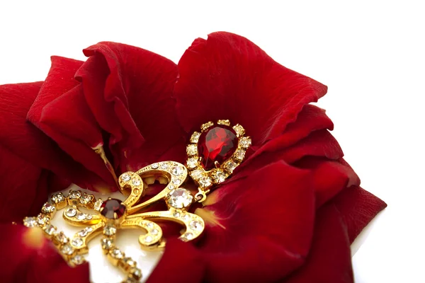 Collana sui petali delle rose rosse — Foto Stock