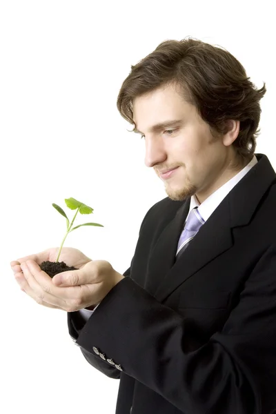Affärsman som innehar en ung planta — Stockfoto
