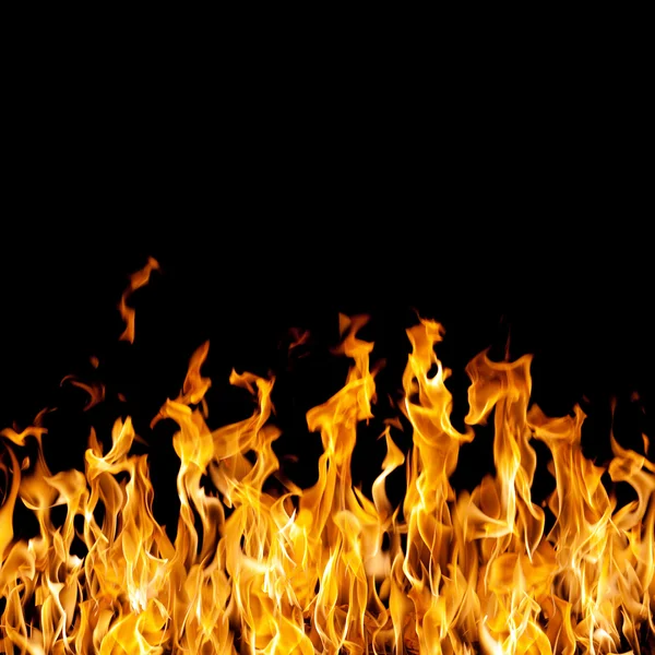 Eld i skogen — Stockfoto
