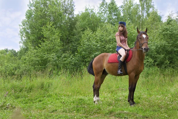 말과 함께 갈색 머리 소녀 로열티 프리 스톡 사진