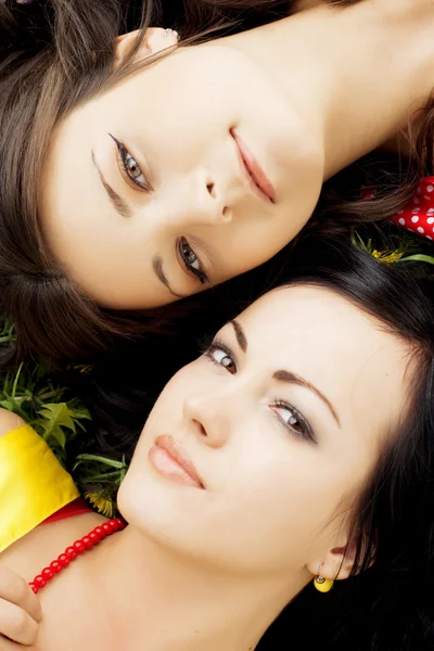Zwei schöne Mädchen liegen auf dem Gras. Stockbild