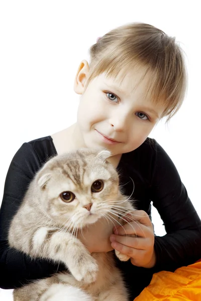 Bambina con un gatto su sfondo bianco — Foto Stock
