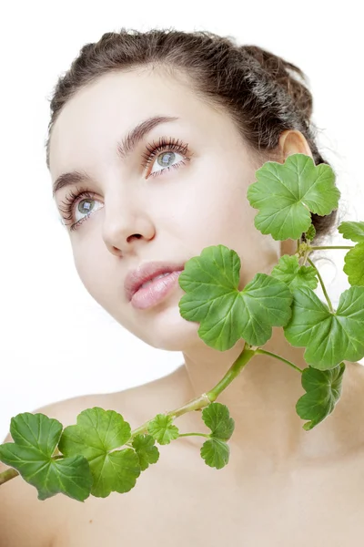 Mulher bonita com uma planta verde — Fotografia de Stock