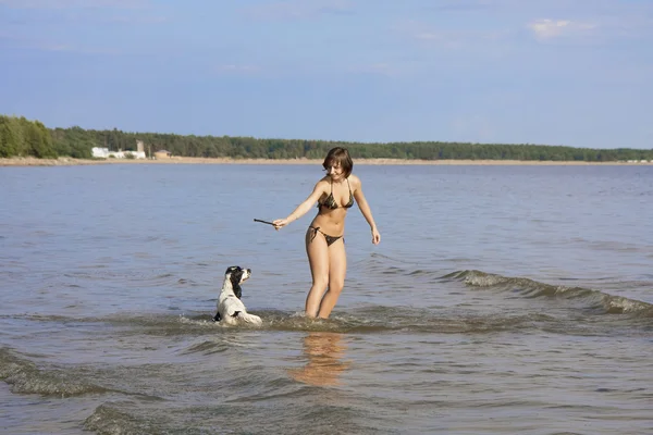 美丽细长的女孩和一只狗在沙滩上玩 — 图库照片