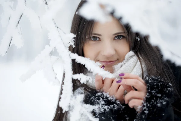 Όμορφο κορίτσι στο δάσος του χειμώνα — Φωτογραφία Αρχείου