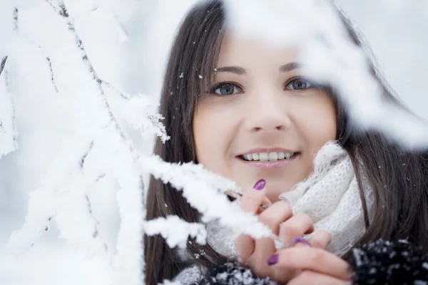 Beautiful girl in winter forest — Stock Photo, Image