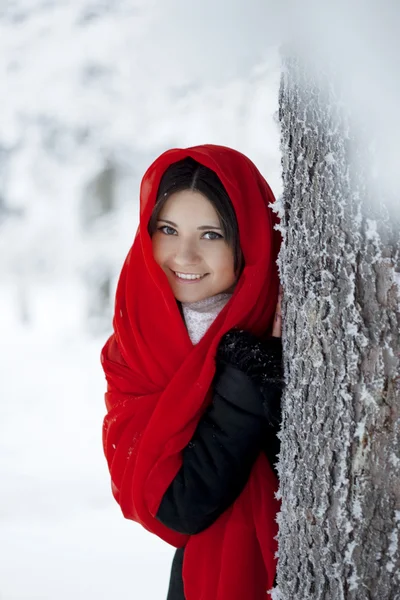 Vacker flicka i vinter skog i rött — Stockfoto