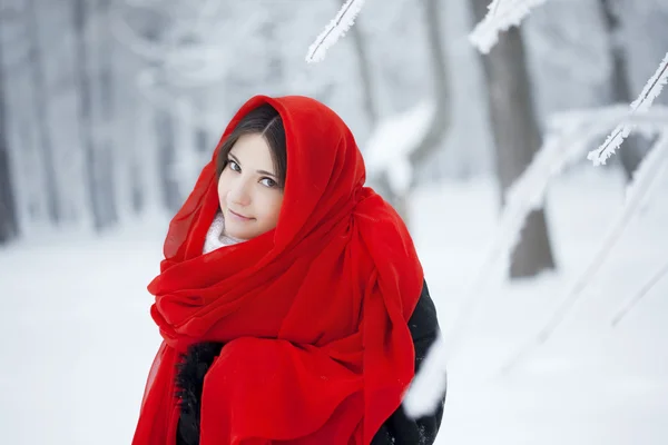 Όμορφο κορίτσι στο δάσος του χειμώνα με κόκκινο χρώμα — Φωτογραφία Αρχείου