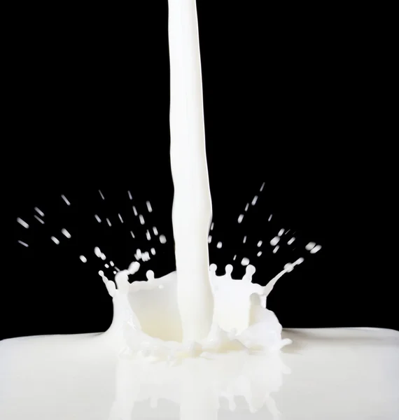 ミルクのクローズ アップのスラッシュ — ストック写真