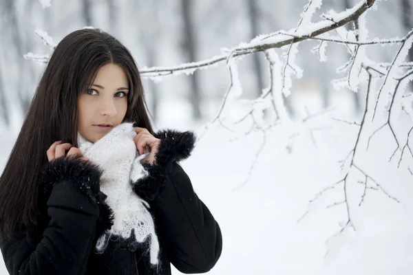 Όμορφο κορίτσι στο δάσος του χειμώνα Εικόνα Αρχείου