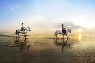 Couple in love, which is galloping on a horse of the sea at suns clipart