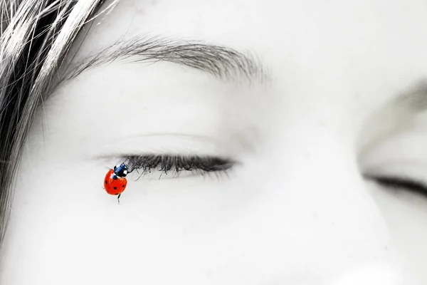 まつげの女の子の上に座る小さなてんとう虫 — ストック写真