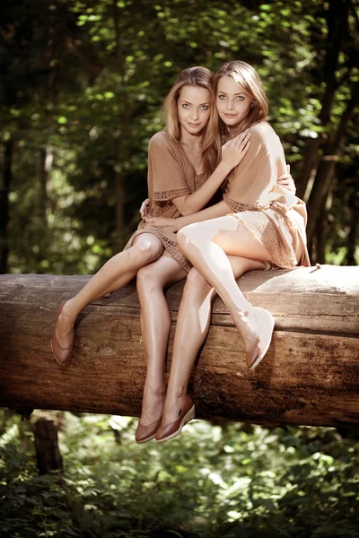 森の中の美しい双子 — ストック写真