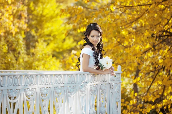 美丽的新娘在秋天的公园 — 图库照片