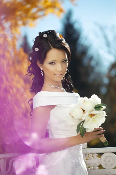 美丽的新娘在秋天的公园 图库照片