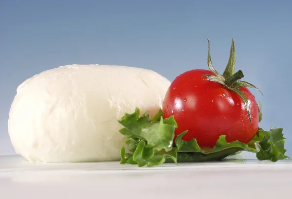 Käse italienischer Mozzarella — Stockfoto