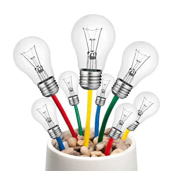 Alternativa idéer - glödlampor med kablar som växer i en pott — Stockfoto