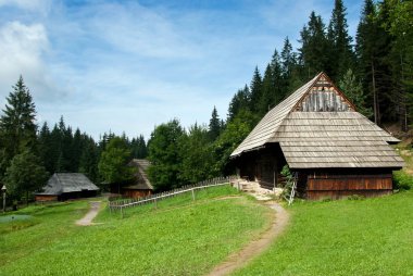 Traditional Timber Houses with Wooden Roof clipart
