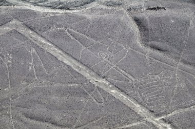 Nazca çizgileri - balina - havadan görünümü