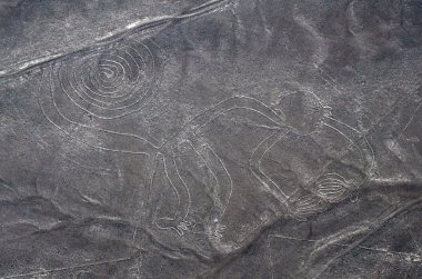 Nazca çizgileri - monkey - havadan görünümü
