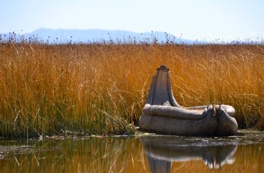 titicaca Gölü teknede Reed