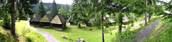 Panorama cosido - Casas de madera tradicionales y bosque — Foto de Stock
