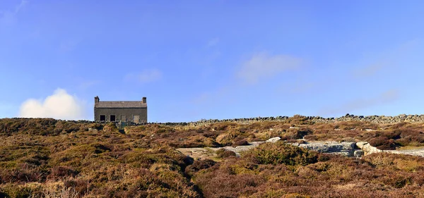 Panorama opuszczony dom w polu wrzosu — Zdjęcie stockowe