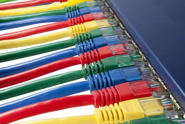 Çok renkli bir yönlendiriciye bağlı ethernet ağ kabloları — Stok fotoğraf