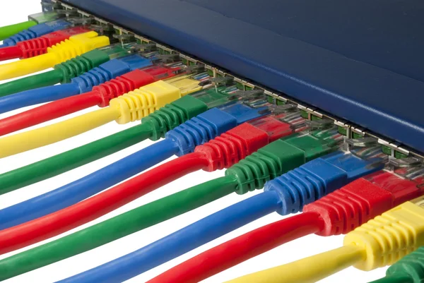 Mehrfarbige Ethernet-Netzwerkkabel, die mit einem Router verbunden sind — Stockfoto