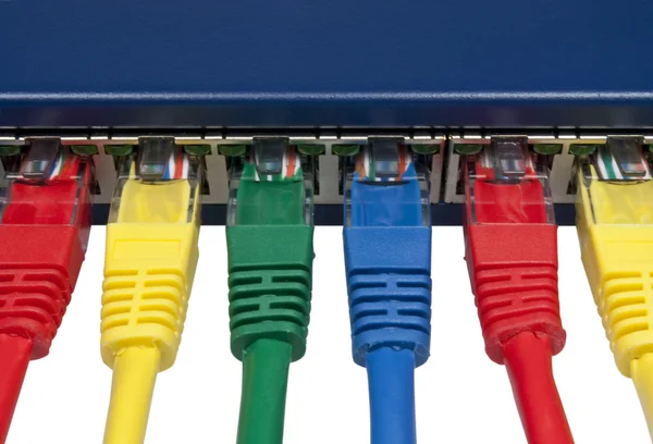 Plugs de rede de computador coloridos do arco-íris conectados a um roteador — Fotografia de Stock