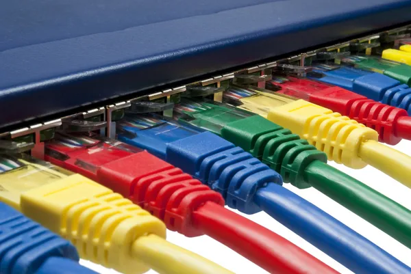 Plugs de rede de computador de cor arco-íris conectados a um roteador ou switch — Fotografia de Stock