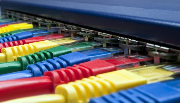 Rainbow color computer network plugs connected to a router or switch — Stock Photo, Image