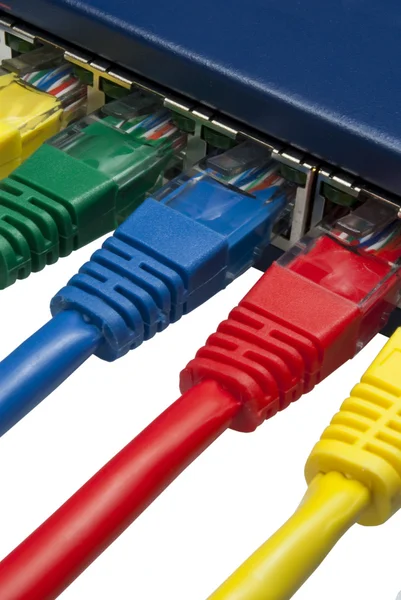Plugs de rede de computador de cor arco-íris conectados a um roteador ou switch — Fotografia de Stock