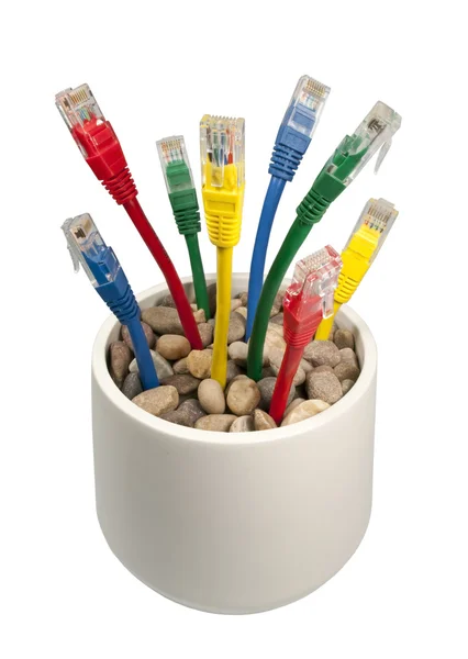 Colored Network Connection Cables Growing in a Flower-pot — Stock Photo, Image