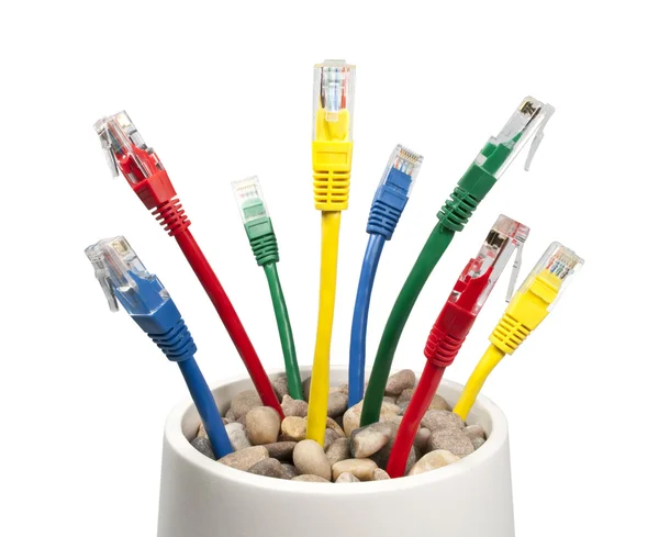 Cabos de rede de computador coloridos crescendo em um vaso de flores — Fotografia de Stock
