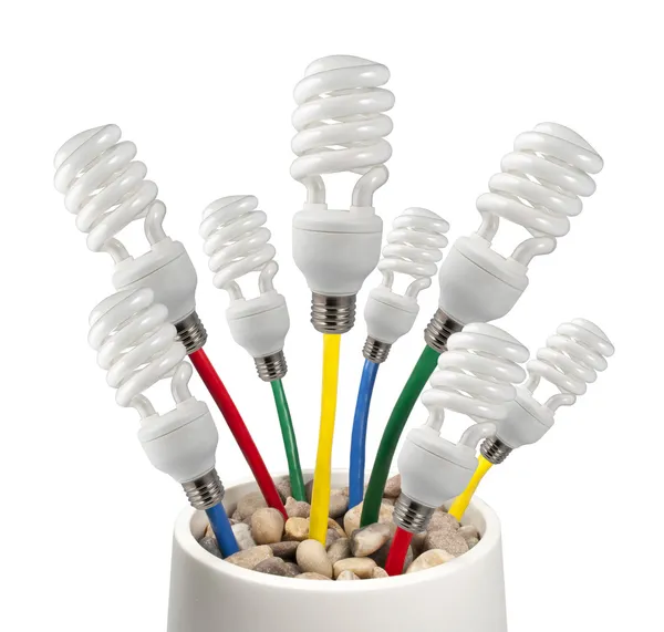 Lampen aangesloten op een gekleurde kabels groeien in een pot — Stockfoto