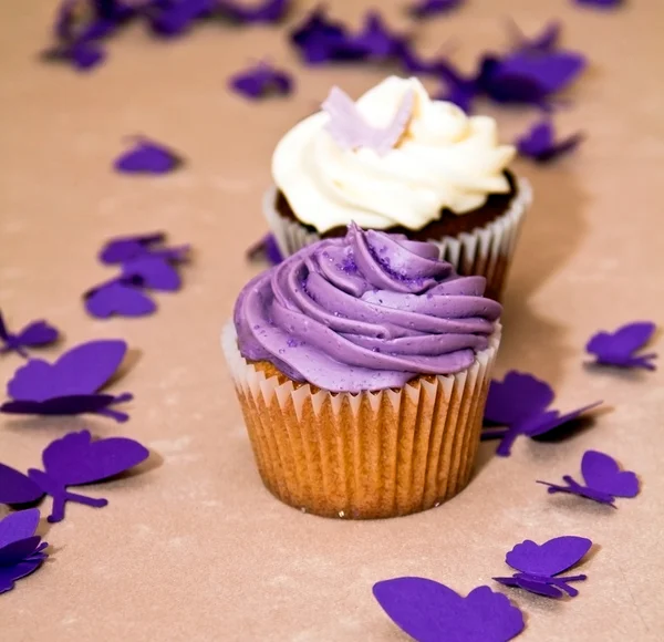 Par av blåbär och choklad cupcakes — Stockfoto