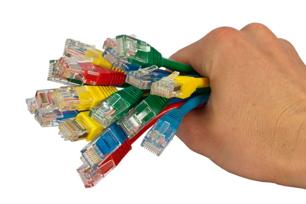 Hand hält Bündel farbiger Netzwerkkabel isoliert — Stockfoto