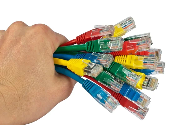 Hand Holding Bunch of Colored Network Cables Isolated — Stock Photo, Image
