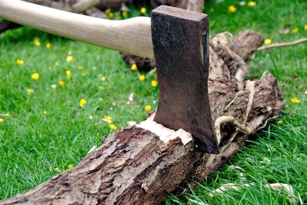 Corte de madera - Hacha de leñador atascado en un árbol — Foto de Stock