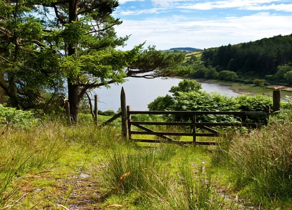 Trilha Forrest com um portão com vista para o belo lago — Fotografia de Stock