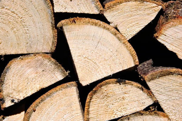 Wood pile stacked for firewood — Stock Photo, Image